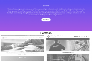 IT Solutions and Services _ SRIJANI Ingenuity in Services